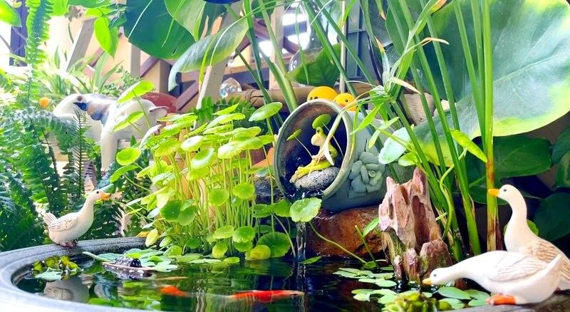 龍魚缸的裝飾物有哪些：龍魚缸的裝飾品注意事項