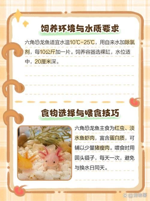 給我一些恐龍魚吃食的圖片參考：六角恐龍魚怎么養