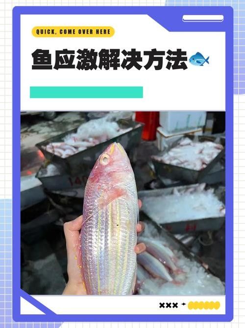 如何幫助金龍魚更快適應(yīng)新環(huán)境：幫助金龍魚適應(yīng)新環(huán)境需要從水質(zhì)、溫度、喂食、光照等多方面綜合管理