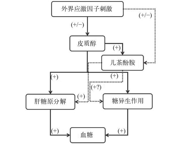 如何幫助金龍魚更快適應(yīng)新環(huán)境：幫助金龍魚適應(yīng)新環(huán)境需要從水質(zhì)、溫度、喂食、光照等多方面綜合管理