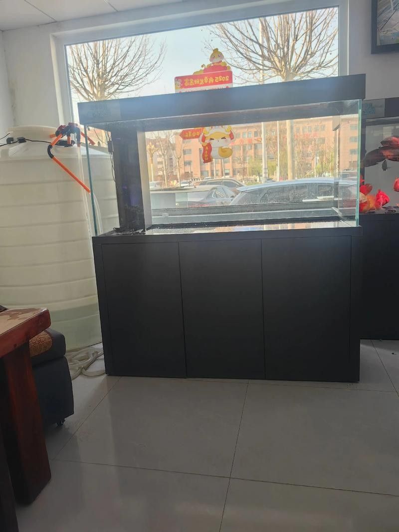 奉新哪個水族館龍魚好？祥龍魚場龍魚：南昌市及周邊地區(qū)有以下與龍魚相關(guān)的水族館和魚場可供參考參考