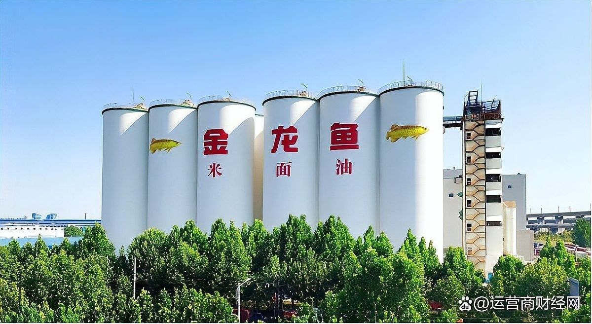 金龍魚食品的財務狀況如何：東方財富網金龍魚2025年上半年業績回暖盈利質量提升