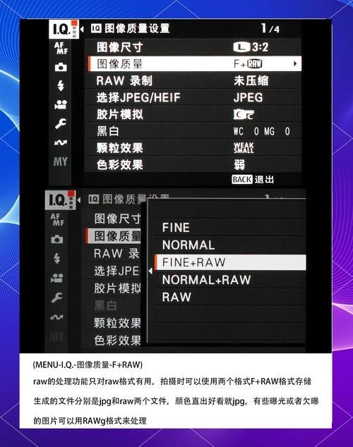 如何設置相機的RAW格式？：不同品牌相機的raw格式設置方法