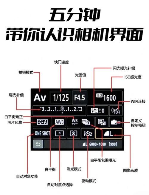 如何設置相機的RAW格式？：不同品牌相機的raw格式設置方法