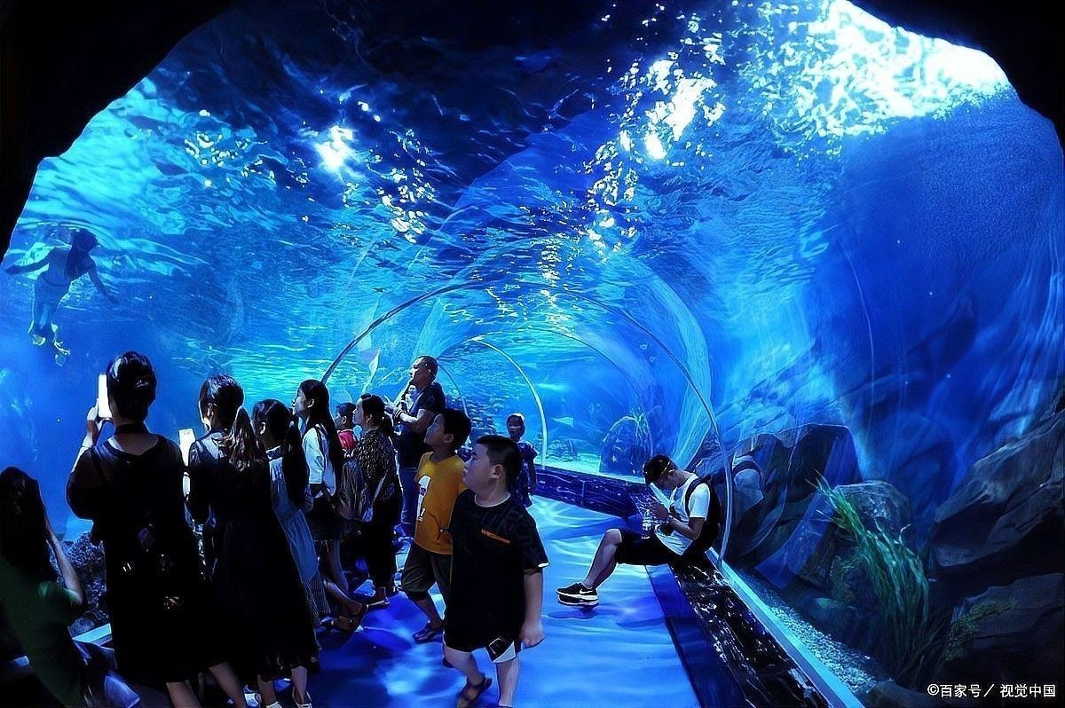 曲江哪個水族館龍魚好？祥龍魚場龍魚：曲江海洋館和祥龍魚場的區(qū)別