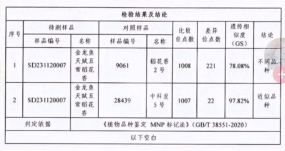 金龍魚絲苗米有假貨嗎？：如何辨別金龍魚絲苗米的真偽？