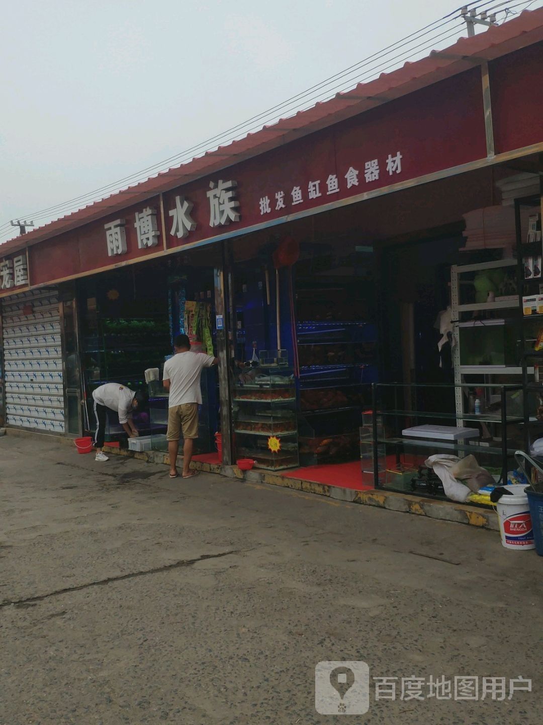 復興哪個水族館龍魚好？祥龍魚場龍魚：復興商貿城周邊有哪些專業水族店？