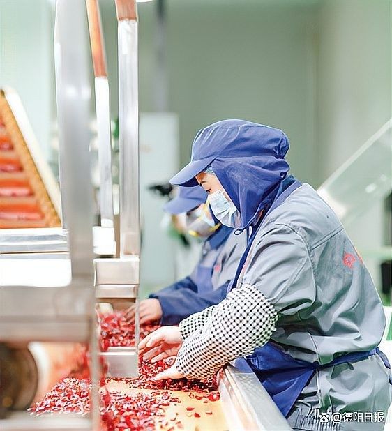 金龍魚在廣漢的產能規模：《中國火鍋食材之都——廣漢》宣傳片發布