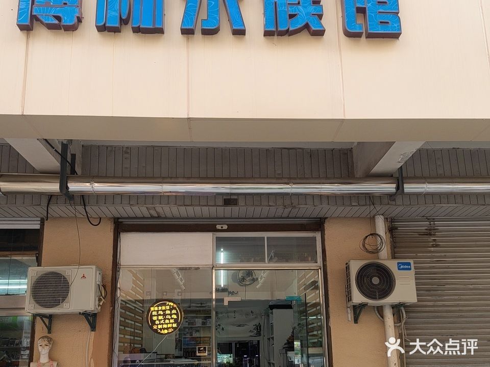 龍魚的飼養方法，養龍魚喂什么最好養龍魚喂什么最好養