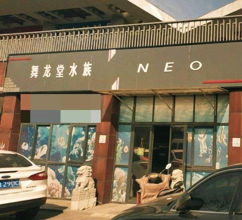 亭湖哪個水族館龍魚好？祥龍魚場龍魚：亭湖區水族館提供高品質龍魚