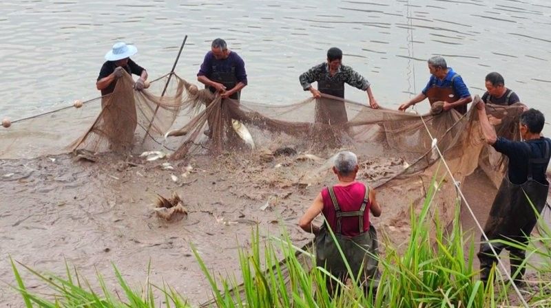 如何聯系祥龍魚場？：廣州龍魚批發市場