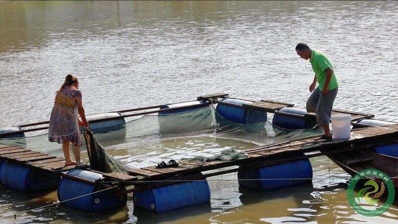 如何聯系祥龍魚場？：廣州龍魚批發市場