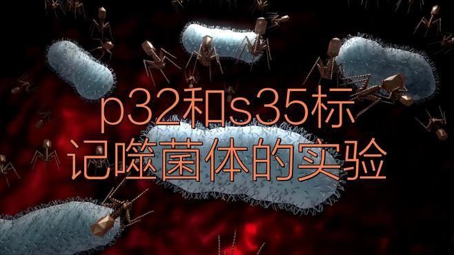 化學(xué)標(biāo)記技術(shù)具體是如何操作的：化學(xué)標(biāo)記技術(shù)是通過特定方法將標(biāo)記物（如同位素、熒光素等）與目標(biāo)分子結(jié)合