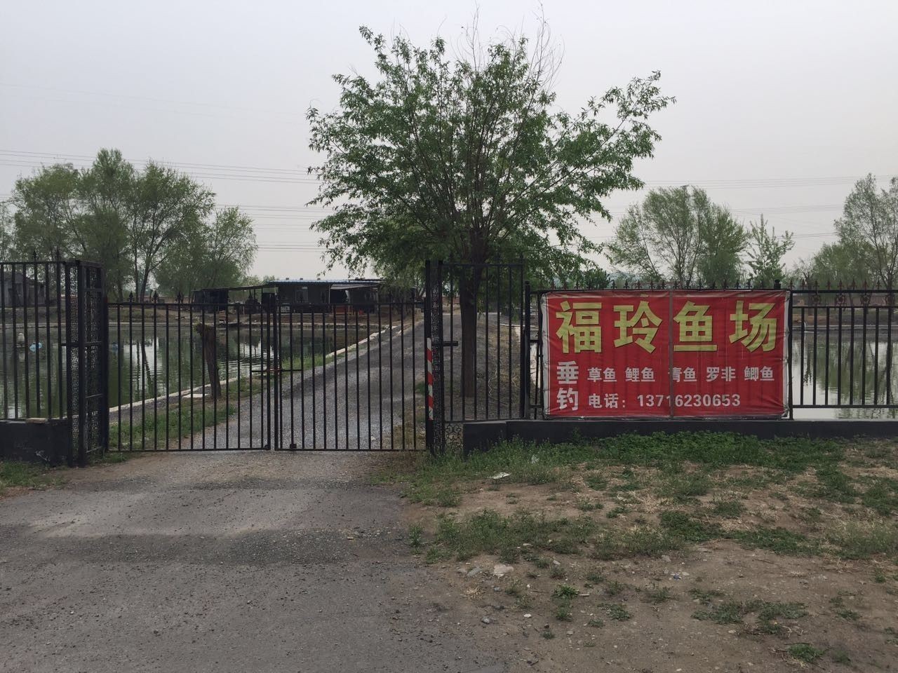 南市哪個水族館龍魚好？祥龍魚場龍魚：關于南市水族館及祥龍魚場龍魚的相關信息：北京其他區域的龍魚相關場所可供參考