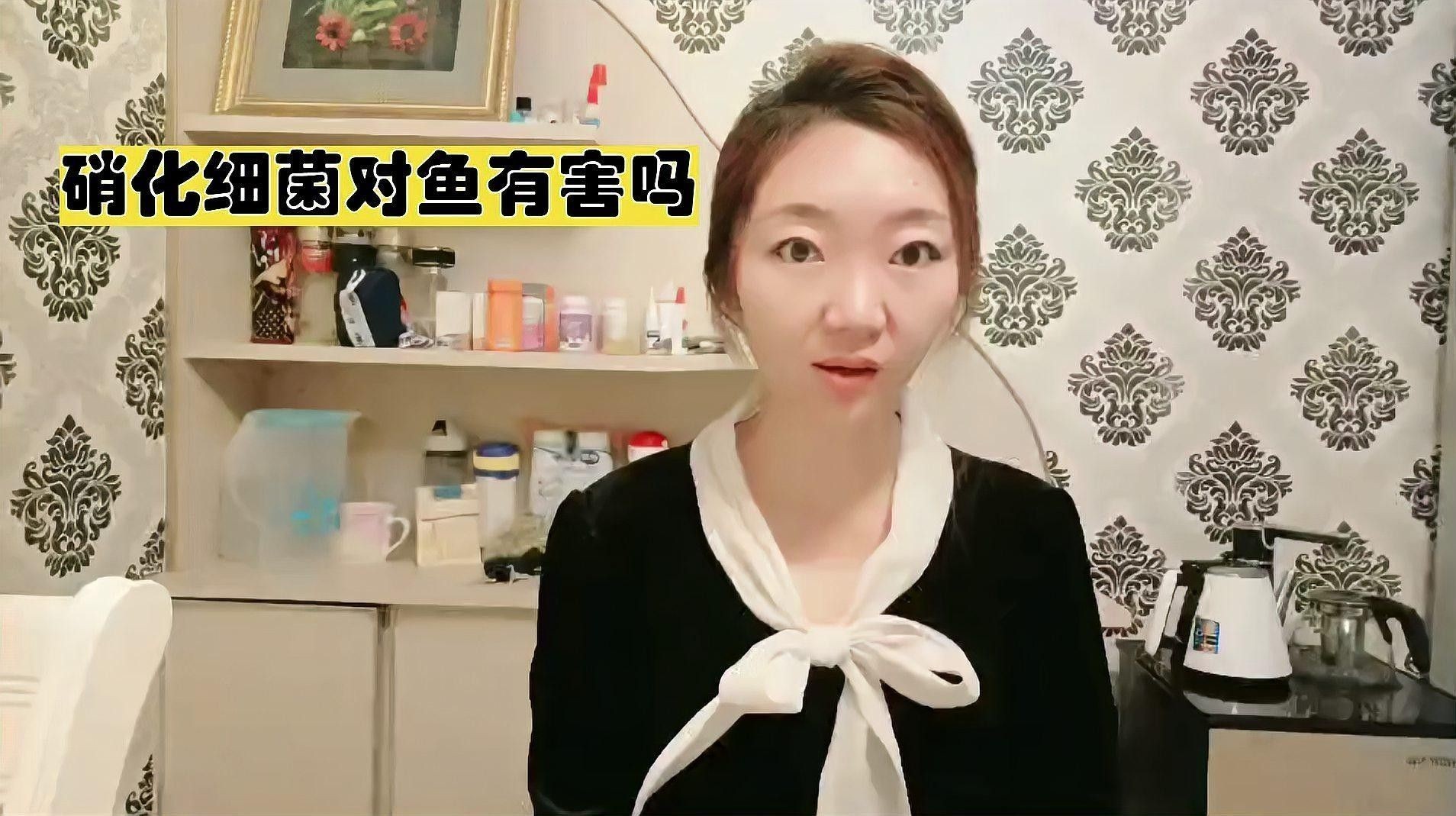 龍魚對硝化細菌敏感嗎：龍魚對硝化細菌的敏感性