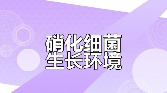 龍魚對硝化細菌敏感嗎：龍魚對硝化細菌的敏感性