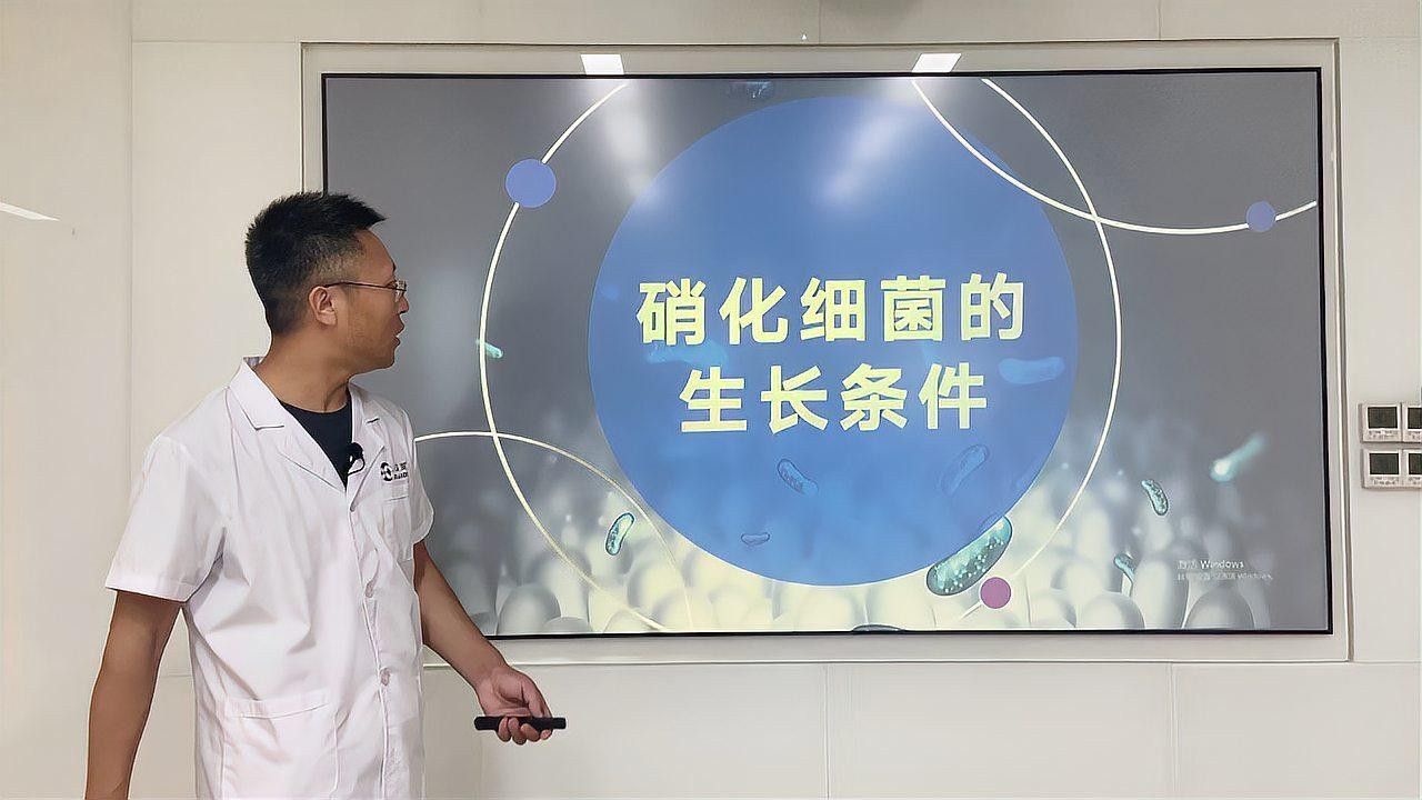 龍魚對硝化細菌敏感嗎：龍魚對硝化細菌的敏感性