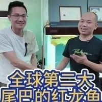 棲霞哪個(gè)水族館龍魚好？祥龍魚場龍魚：棲霞地區(qū)水族館信息中未明確提及龍魚養(yǎng)殖專項(xiàng)場館