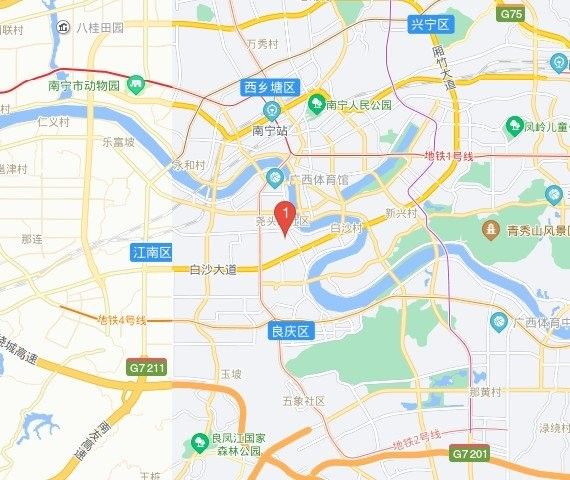 南寧龍魚市場在哪里：南寧市與龍魚相關的市場主要集中在以下區域在以下區域
