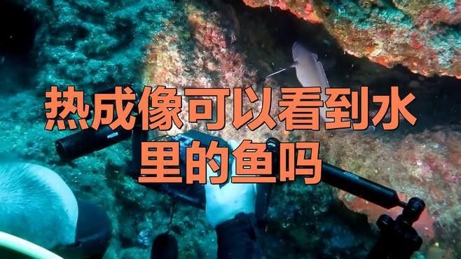 如何判斷深草旅店碼頭的魚群活動？：判斷深草旅店碼頭的魚群活動可通過以下綜合方法分析