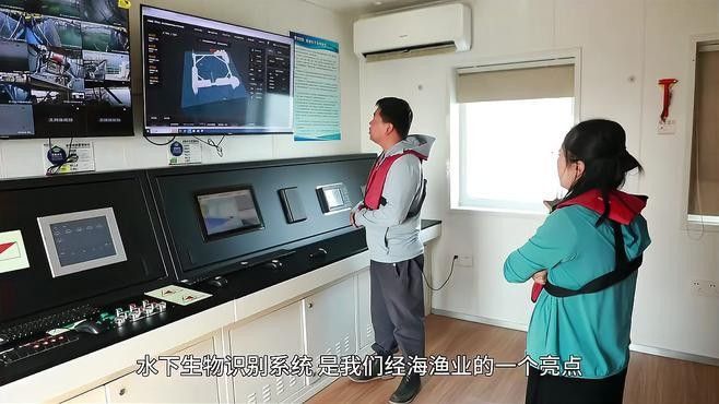 如何判斷深草旅店碼頭的魚群活動？：判斷深草旅店碼頭的魚群活動可通過以下綜合方法分析