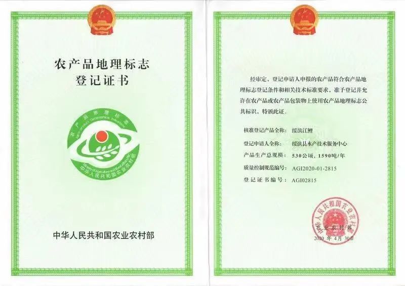 綏濱縣有龍魚養(yǎng)殖場(chǎng)嗎？：綏濱縣做強(qiáng)漁業(yè)經(jīng)濟(jì)農(nóng)民“水里撈金” 綏濱縣有龍魚養(yǎng)殖場(chǎng)嗎？：綏濱縣做強(qiáng)漁業(yè)經(jīng)濟(jì)農(nóng)民“水里撈金” 龍魚百科 第1張