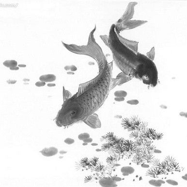 鯉魚躍龍門有哪些相關(guān)詩(shī)詞？：關(guān)于“鯉魚躍龍門”主題的詩(shī)詞