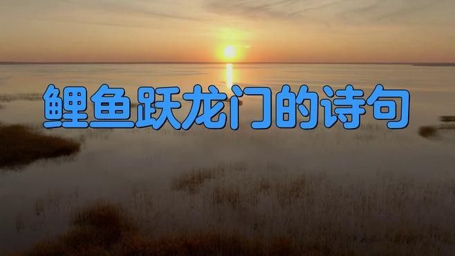 鯉魚躍龍門有哪些相關(guān)詩(shī)詞？：關(guān)于“鯉魚躍龍門”主題的詩(shī)詞