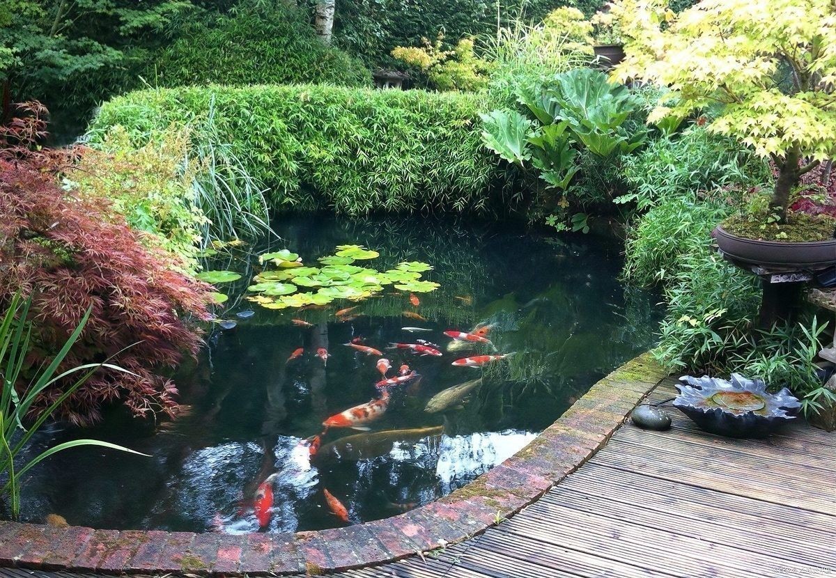 “庭栽棲鳳竹池養化龍魚”與哪些古訓相關：“庭栽棲鳳竹，池養化龍魚”出自《增廣賢文》
