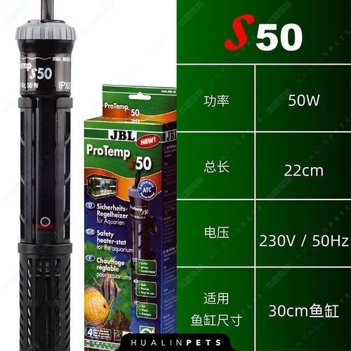哪些品牌的加熱棒適合養龍魚：龍魚缸加熱棒在龍魚飼養中表現突出