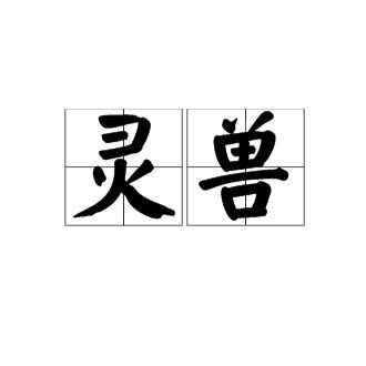 四角龍在道教中有什么象征意義：四角龍在道教中代表什么？