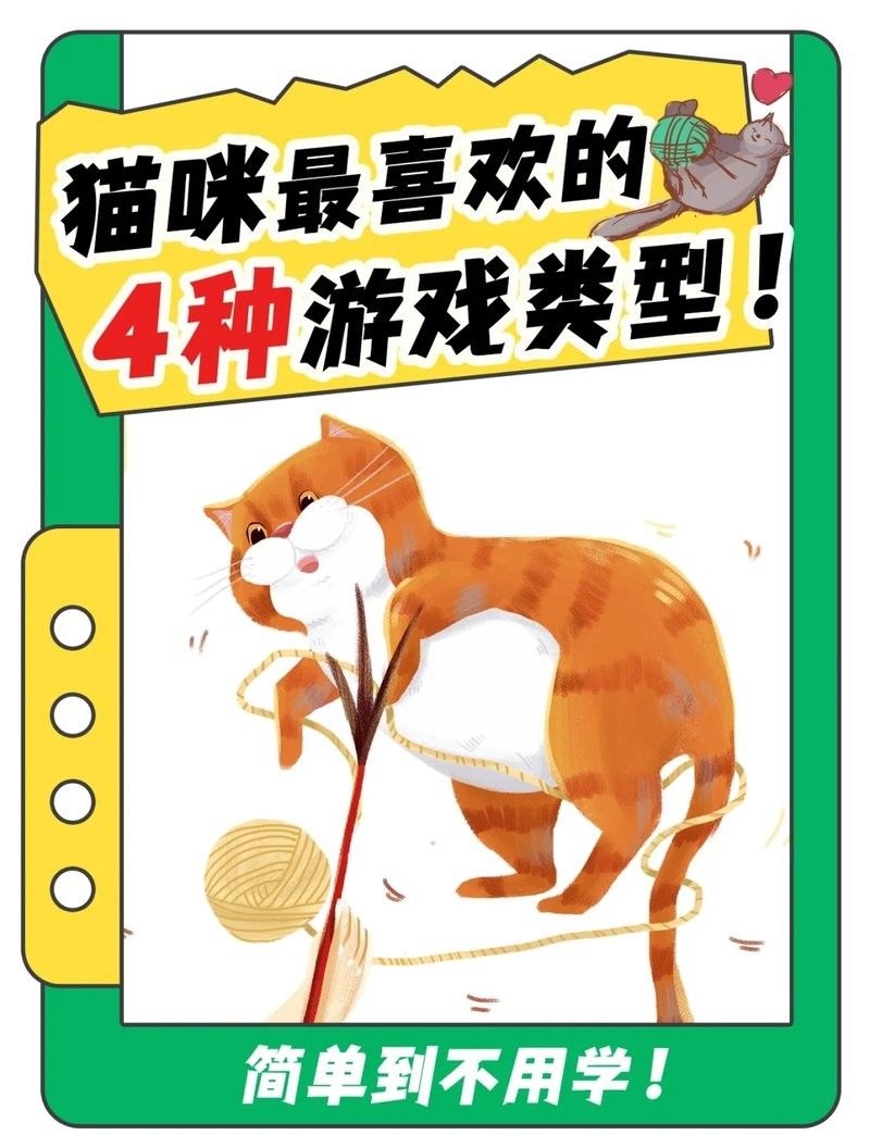 龍貓最喜歡的互動游戲有哪些：龍貓互動游戲推薦