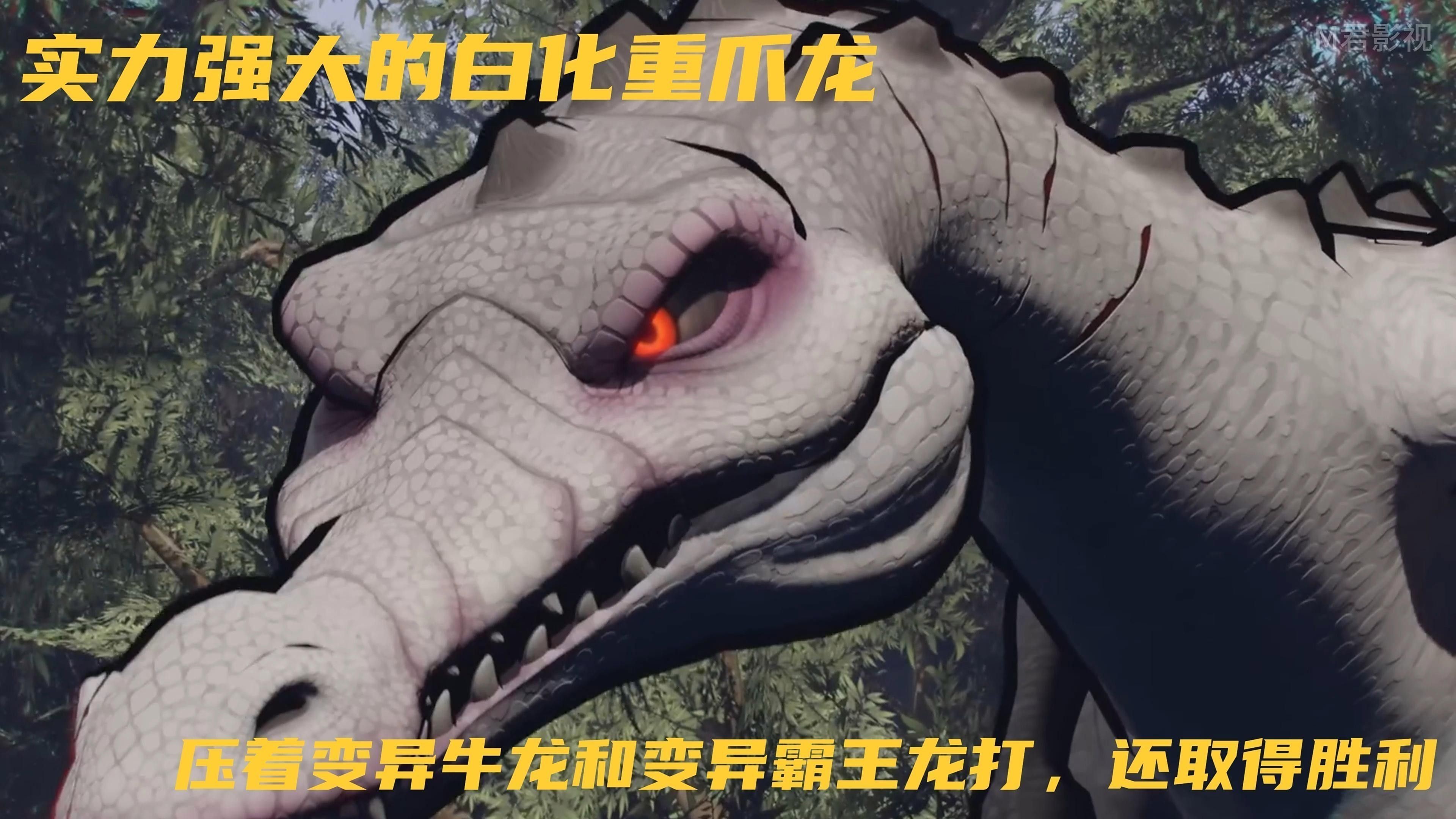 哪里可以購買到白化恐龍魚？：北京白化恐龍魚缸混養紅龍與巴卡雷龍的技巧木趣桌面