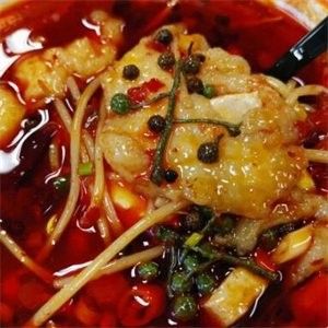 王宏龍饞嘴魚是否賣龍魚？：王宏龍饞嘴魚加盟】51加盟網大湖紅龍抖音