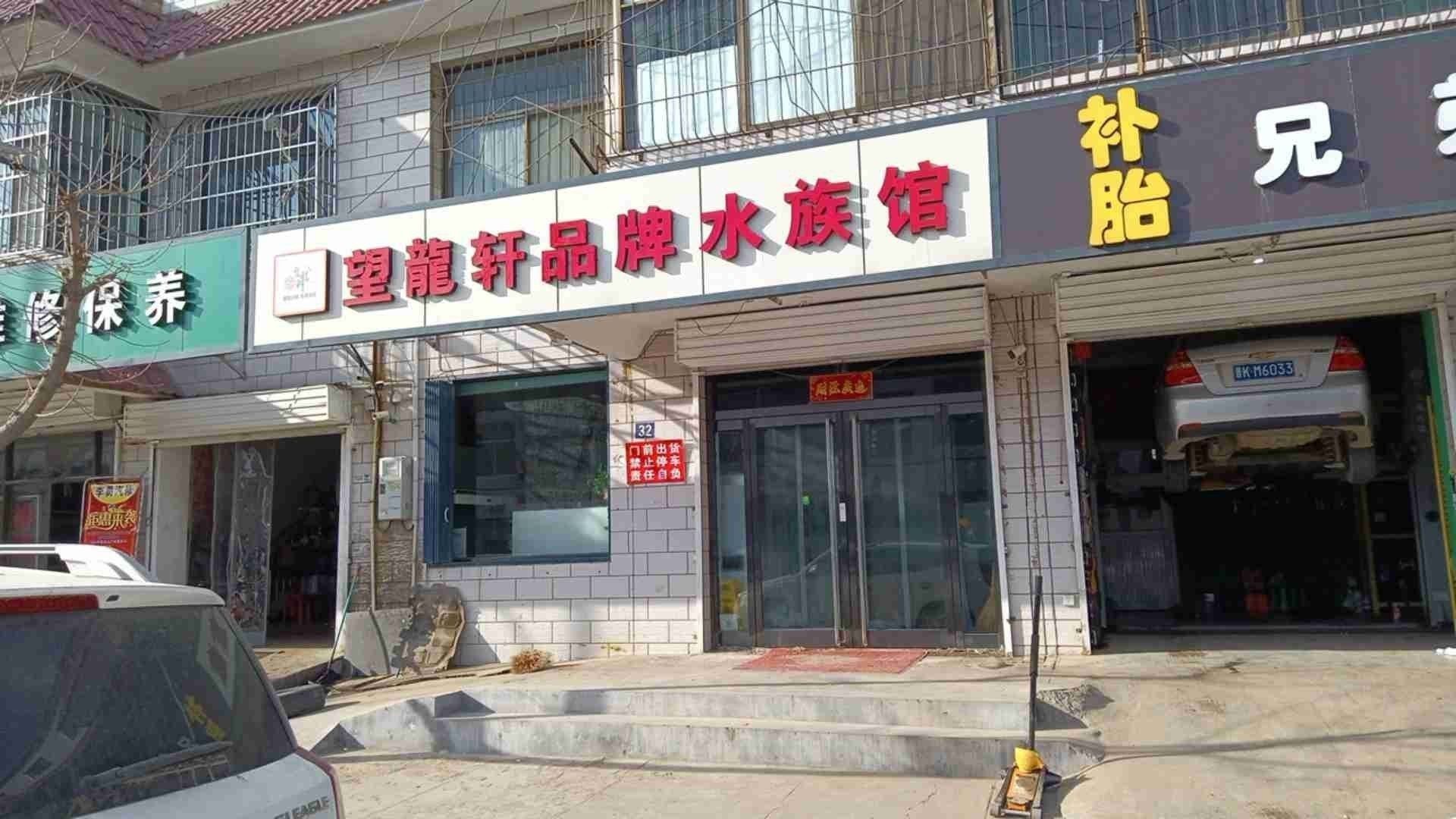 榆次哪個水族館龍魚好？祥龍魚場龍魚：山西榆次區有以下幾家水族館提供龍魚相關服務