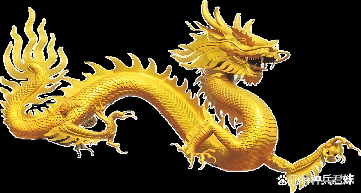 給我一些金龍圖案的免摳素材：金龍圖案免摳素材資源推薦