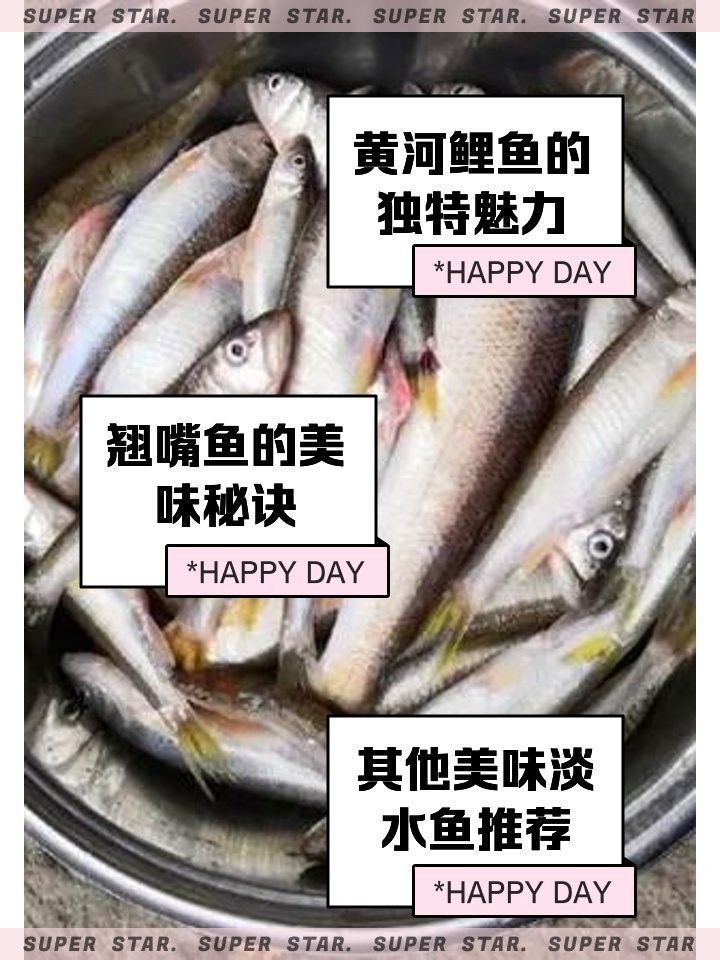 金龍魚和翹嘴魚哪個(gè)更好吃？：夏季“翹嘴魚”怎么做好吃