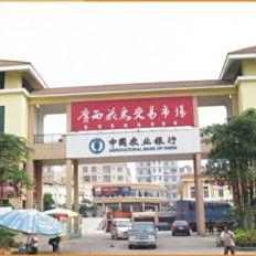 南寧還有哪些水族市場？：南寧市水族市場主要集中在興寧區、西鄉塘區和江南區