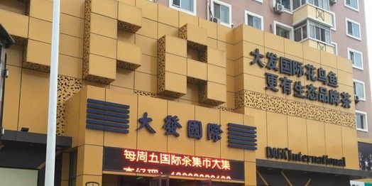 大發花鳥魚大市場的營業時間是：哈爾濱大發花鳥魚市場有哪些特點商品？