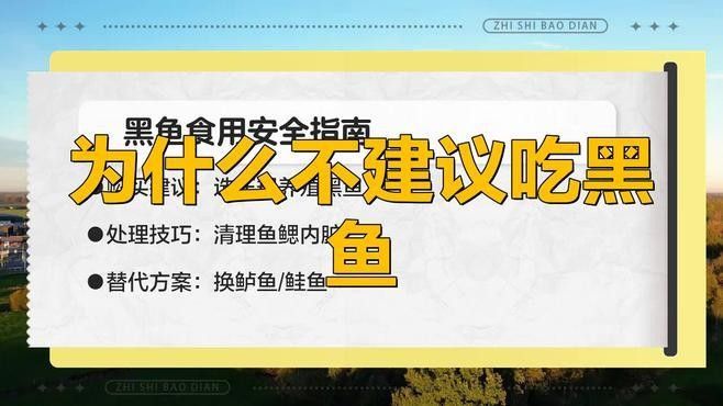 金龍魚和黑魚哪個更兇？：金龍魚和黑魚哪個更具有觀賞性？
