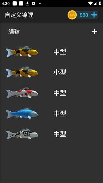 哪里可以下載免費的龍魚壁紙：免費下載龍魚壁紙