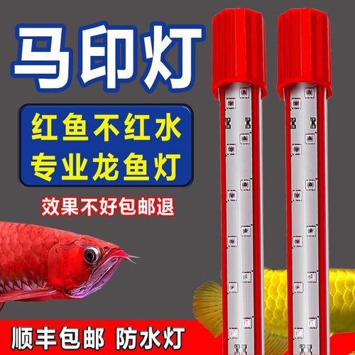 馬印增艷神燈的具體型號有哪些：馬印增艷神燈 馬印增艷神燈的具體型號有哪些：馬印增艷神燈 龍魚百科 第3張