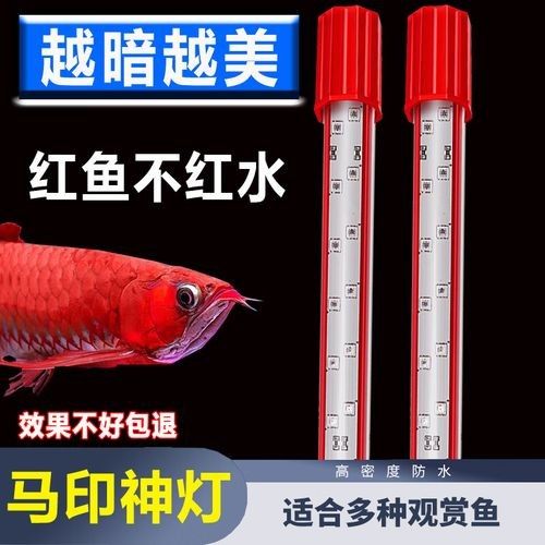 馬印增艷神燈的具體型號有哪些：馬印增艷神燈 馬印增艷神燈的具體型號有哪些：馬印增艷神燈 龍魚百科 第6張