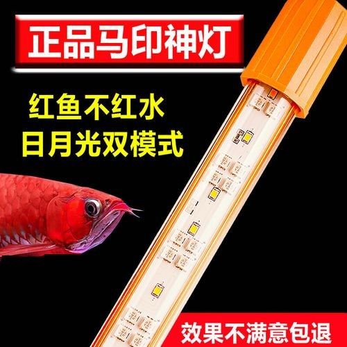 馬印增艷神燈的具體型號有哪些：馬印增艷神燈 馬印增艷神燈的具體型號有哪些：馬印增艷神燈 龍魚百科 第4張