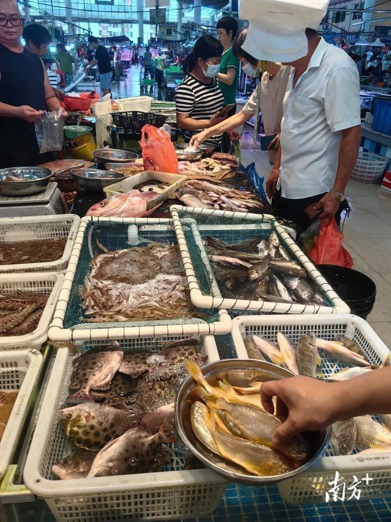 中山哪個水族館龍魚好？祥龍魚場龍魚：中山市多家水族館提供龍魚銷售及祥龍魚場相關信息