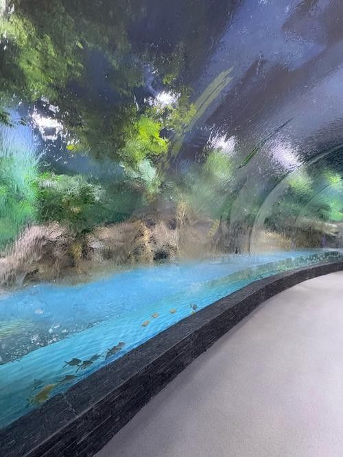 中山哪個水族館龍魚好？祥龍魚場龍魚：中山市多家水族館提供龍魚銷售及祥龍魚場相關信息
