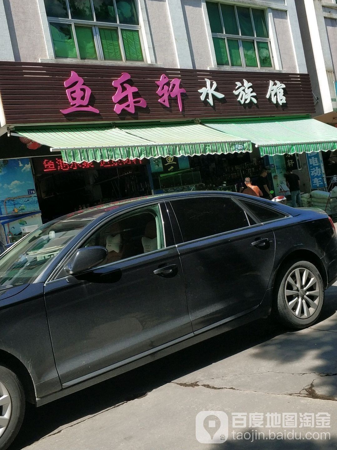 中山哪個水族館龍魚好？祥龍魚場龍魚：中山市多家水族館提供龍魚銷售及祥龍魚場相關信息