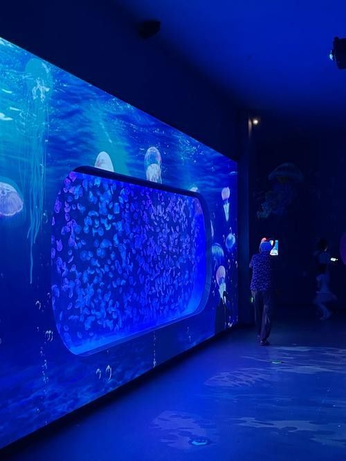 中山哪個水族館龍魚好？祥龍魚場龍魚：中山市多家水族館提供龍魚銷售及祥龍魚場相關信息