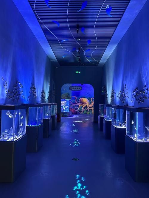 中山哪個水族館龍魚好？祥龍魚場龍魚：中山市多家水族館提供龍魚銷售及祥龍魚場相關信息