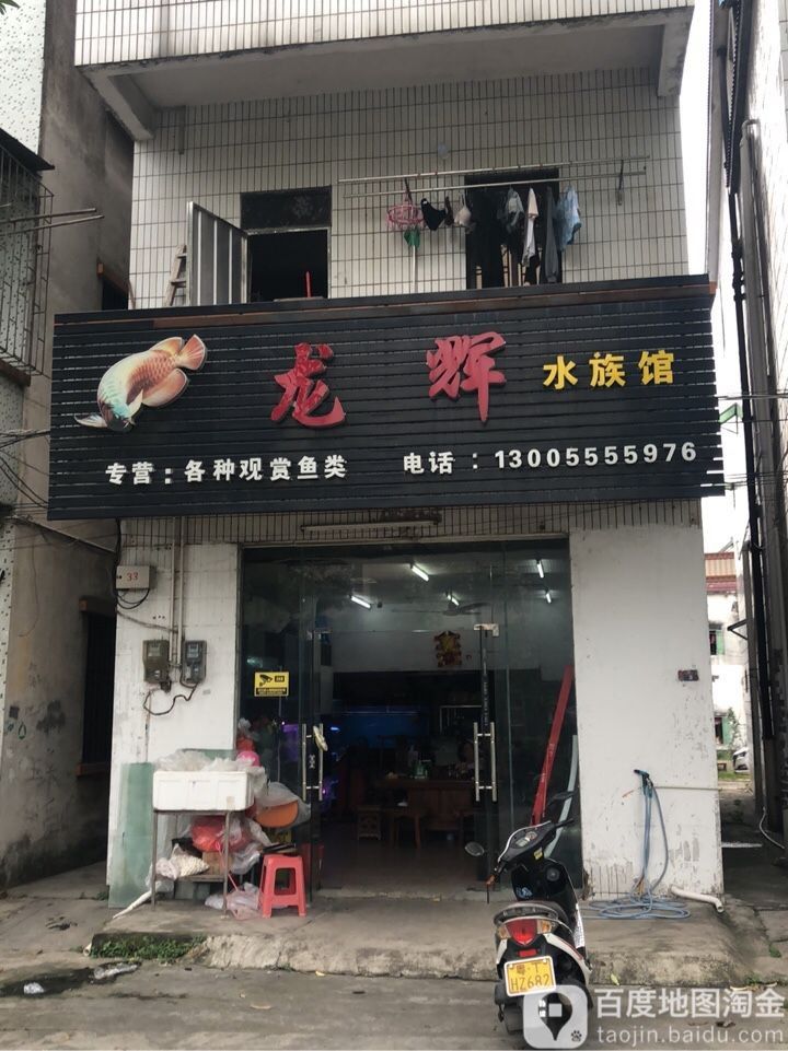中山哪個水族館龍魚好？祥龍魚場龍魚：中山市多家水族館提供龍魚銷售及祥龍魚場相關信息